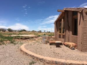 un edificio con dos cerdos parados fuera de él en Vernacular Lodge, en San Pedro de Atacama