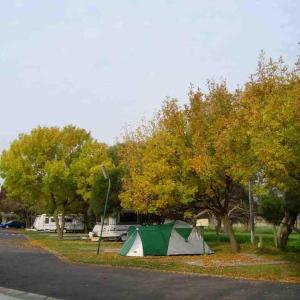 Fotografie z fotogalerie ubytování BIG4 Dandenong Tourist Park v destinaci Dandenong