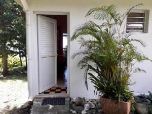 Zahrada ubytování Villa Rose Caraibes