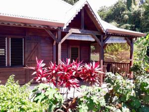 Zahrada ubytování Villa Rose Caraibes