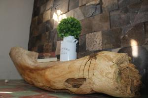 Fotografie z fotogalerie ubytování Casa en el centro de veracruz v destinaci Veracruz
