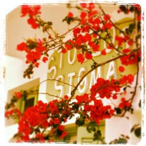un ramo con fiori rossi davanti a un cartello di Sigma Studios on The Beach a Naxos Chora