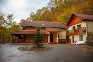 a house with a tree in the middle of a driveway at Pensiunea Valea Gepisului in Groşi