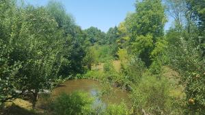 Ảnh trong thư viện ảnh của Casa Adelina ở Valea Lungă-Cricov