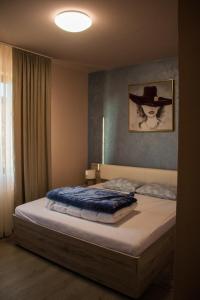 Foto dalla galleria di Panoramic a Baia-Sprie