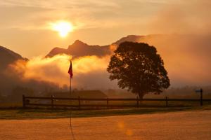 a tree in front of a fence with the sunset at Golf- und Sporthotel Moarhof in Walchsee