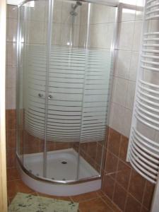 um chuveiro com uma porta de vidro na casa de banho em Szalay Vendégház em Hegykő