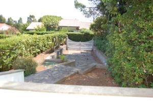A garden outside Dhora