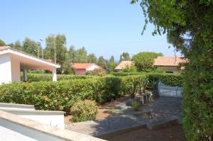 A garden outside Dhora