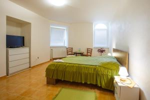 a bedroom with a bed with a green bedspread at Penzión Žemberovce in Dolné Žemberovce +28 photos