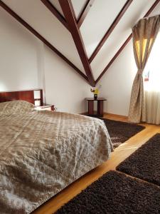Un dormitorio con una cama grande y una ventana en Pension Marina, en Sinaia