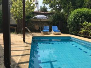 a swimming pool with two blue chairs next to it at Hidden Garden in Kyrenia