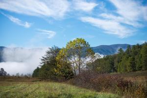 Galeriebild der Unterkunft Above the Smokies in Glade