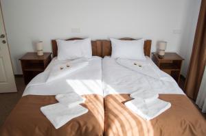 Billede fra billedgalleriet på Pensiune Casa Ampeia i Alba Iulia + 17 billeder