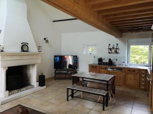 ein Wohnzimmer mit einem Kamin und einem TV in der Unterkunft Les gîtes d'Herquetot "Les Genets" in Vasteville