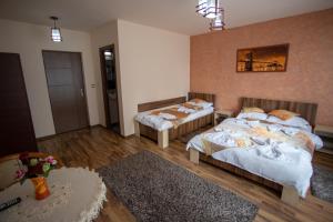 Gallery image of Casa Alex in Târgu Jiu +62 photos