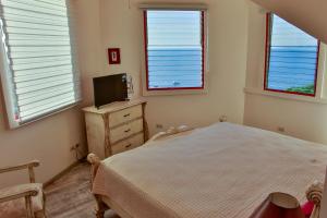 a bedroom with a bed and a tv and windows at The Lighthouse Ocotal in Coco