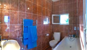 a bathroom with a tub and a toilet and a sink at Le Chevalier Noir in Cordes-sur-Ciel +27 photos