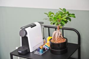 a potted plant on a table next to a printer at Portos Wine, Divine Apartment 2B in Lisbon