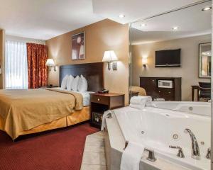 um quarto de hotel com uma cama e uma banheira em McIntosh Inn em Media