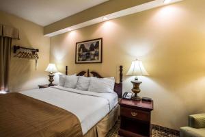um quarto de hotel com uma cama grande e duas lâmpadas em Quality Inn Kingsport em Kingsport