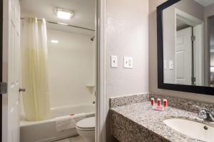een badkamer met een wastafel, een toilet en een spiegel bij Econo Lodge East Ridge - Chattanooga in Chattanooga