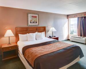 um quarto de hotel com uma cama grande e uma janela em Quality Inn em Forest Hill