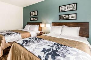 Postel nebo postele na pokoji v ubytování Sleep Inn & Suites - Bryan