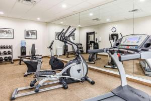 Fitness centrum a/nebo fitness zařízení v ubytování Sleep Inn & Suites - Bryan