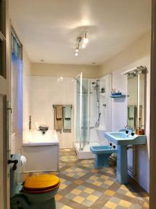 a bathroom with a toilet and a sink and a shower at Le Chevalier Noir in Cordes-sur-Ciel