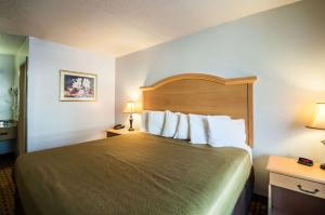 a hotel room with a large bed with white pillows at Econo Lodge Elkridge near Arundel Mills in Elkridge