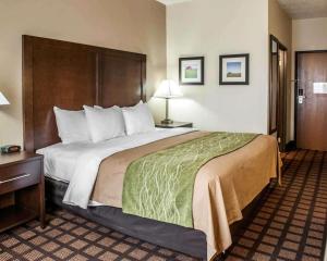- une chambre d'hôtel avec un grand lit dans l'établissement Baymont by Wyndham Richmond I-70, à Richmond