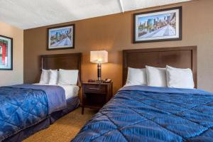 Gallery image of Rodeway Inn Chicago in Chicago