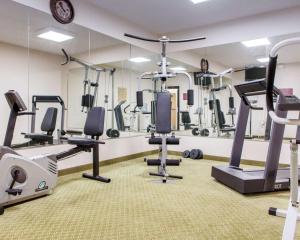 a gym with tread machines and a mirror at Quality Inn & Suites Near Amish Country in Rushville