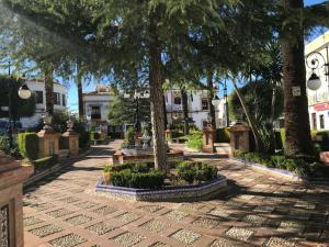 Zahrada ubytování Calle Valenzuela 9 La Rambla