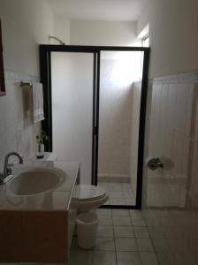 a bathroom with a shower and a toilet and a sink at Hotel Posada Camelinas in P&aacute;tzcuaro