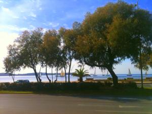 a row of trees next to a beach with a sail boat at Galini Palace in Athens