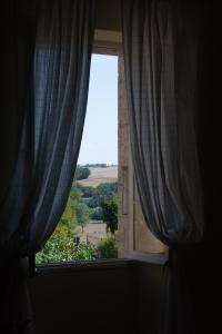 Příroda nedaleko bed and breakfast