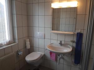 een badkamer met een wastafel, een toilet en een spiegel bij Hotel Simplon-Blick in Simplon Hospiz