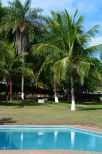 a blue swimming pool with palm trees in the background at Pantanal Ranch Meia Lua in Miranda