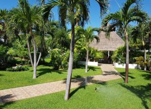 een groep palmbomen in een park met een gebouw bij Large House - walking to beach - 10 guests! in Cancun