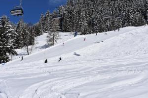 eine Gruppe von Personen, die auf einer schneebedeckten Piste Ski fahren in der Unterkunft Vorderstuhlhof in Kleinarl