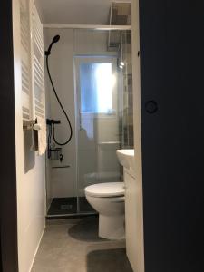 a bathroom with a toilet and a glass shower at Apartamento Casa Edurne in Valladolid