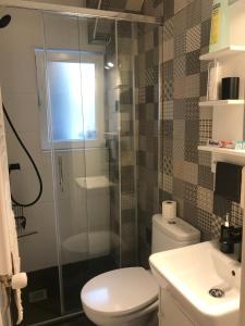 a bathroom with a shower and a toilet and a sink at Apartamento Casa Edurne in Valladolid