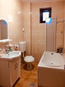 La salle de bains est pourvue de toilettes, d'une baignoire et d'un lavabo. dans l'établissement Villa Melania, à Azuga