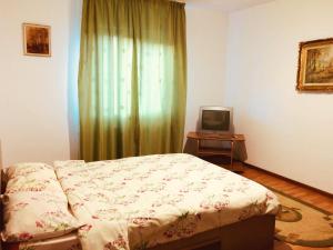 a bedroom with a bed and a television at Villa Melania in Azuga