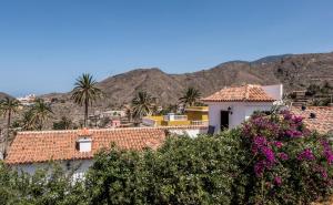 a view of a town with palm trees and flowers at San Borondón in Alojera