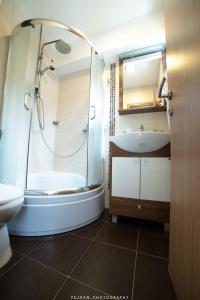 a bathroom with a shower and a sink and a toilet at Snežna Kuća Apartments in Kopaonik