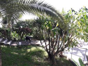 Zahrada ubytování Villa Rose Caraibes