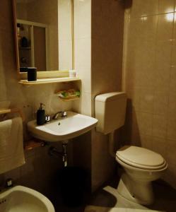 ein kleines Bad mit WC und Waschbecken in der Unterkunft Il Vecchio Portico in Cesena